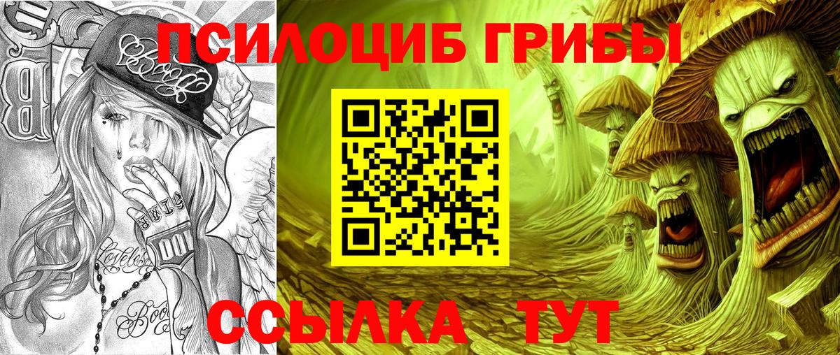 Галлюциногенные грибы Psilocybine cubensis  Галлюциногенные грибы Psilocybe  Киржач  Вход с VPN 